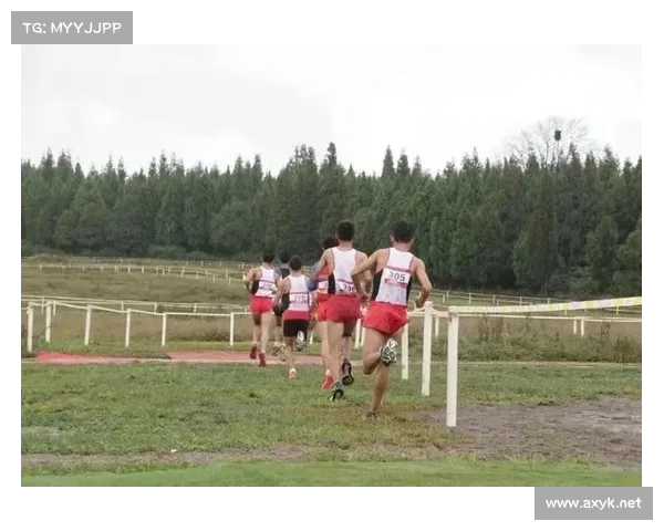 2019国内越野跑赛事