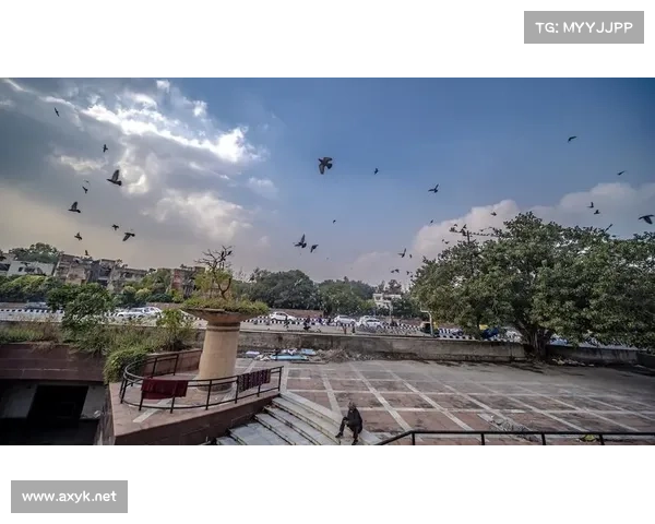 东南亚赛事;东南亚赛事运营moba